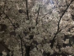 -同济大学四平路校区游泳馆