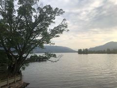 -月亮湾景区
