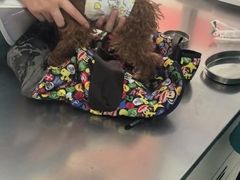 -王允海动物医院(中央大街店)