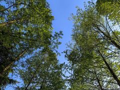 -苏州河梦清园环保主题公园