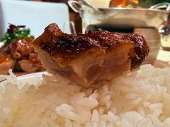 广式烧鸭-不倒翁·安徽名菜楼(步行街店)