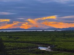 -白鹭湾湿地公园