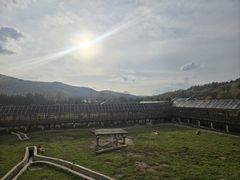 -横道河子东北虎林园