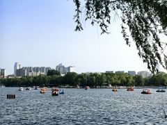 -北陵公园