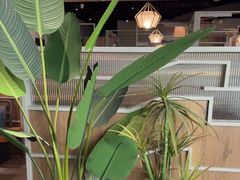 -湊湊火锅·茶憩(皇姑万象汇店)