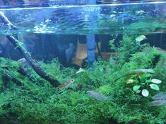 -毛家饭店·融合新湘菜·主题宴(齐鲁软件园店)