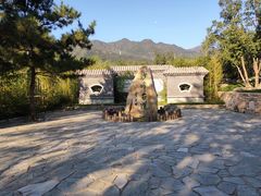 -阳台山自然风景区