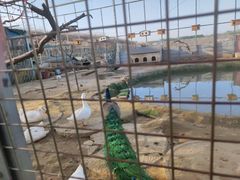 -河北村民俗体验园