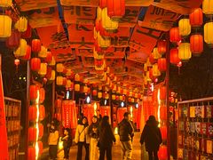 -国色天乡三期陆地乐园