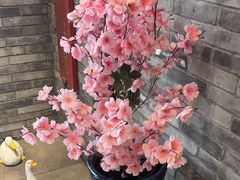 -京味斋·北京烤鸭(北京南站洋桥店)