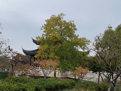 -枫桥景区