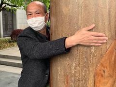 -龙天小镇