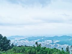 -阳台山森林公园