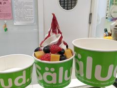 -Salud撒露欧洲冻酸奶(蓝色港湾店)