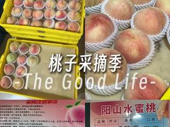 -老袁家蜜桃农场·阳山水蜜桃