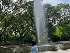 -九龙公园