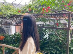 -挖色菜香园(大理店)