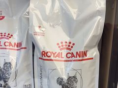 -瑞派康怡24h宠物医院·犬猫医疗中心·微创绝育(瑞景分院)