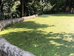 -成都市活水公园