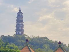 -顺峰山公园