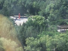 -万泉公园