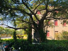 -厦门大学(思明校区)