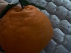 -鲜丰水果(杭州闲林山水店)