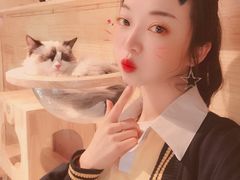 -喵屿·大理花园猫咖