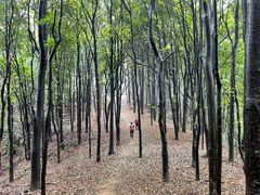 -广州市白云山风景名胜区