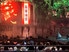 -广州长隆国际大马戏