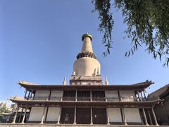 -张掖市博物馆
