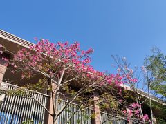 -广州都喜泰丽温泉度假酒店