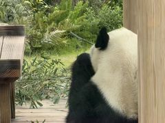 -无锡动物园·太湖欢乐园