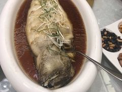 -金狮麟·新豫菜(金码大厦店)
