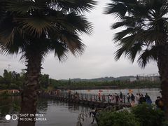 -枫香湖儿童公园
