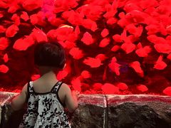 -多彩贵州城极地海洋世界