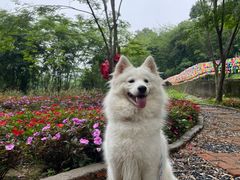 -千泷沟大瀑布旅游区