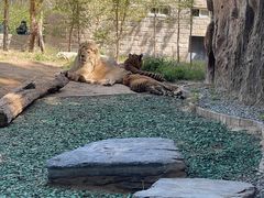 -北京野生动物园