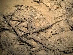 -北京大葆台遗址博物馆