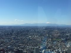 -东京都厅舍