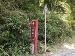 -芦沟竹海