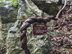-磐安十八涡景区