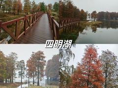 -四明湖