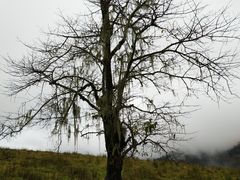 -硗碛藏寨·神木垒景区