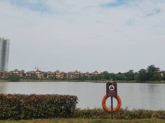 -美的鹭湖森林度假区