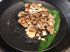有机舞菇-煲宫(华润万象城店)