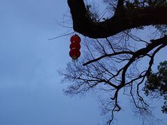 -乌山风景区