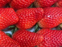 崂山富硒牛奶草莓-青青岛鲜果园