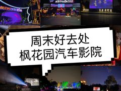 -枫花园汽车电影院(朝阳公园店)
