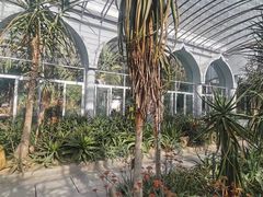 -深圳仙湖植物园